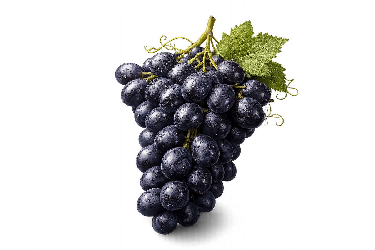 Blue Grapes