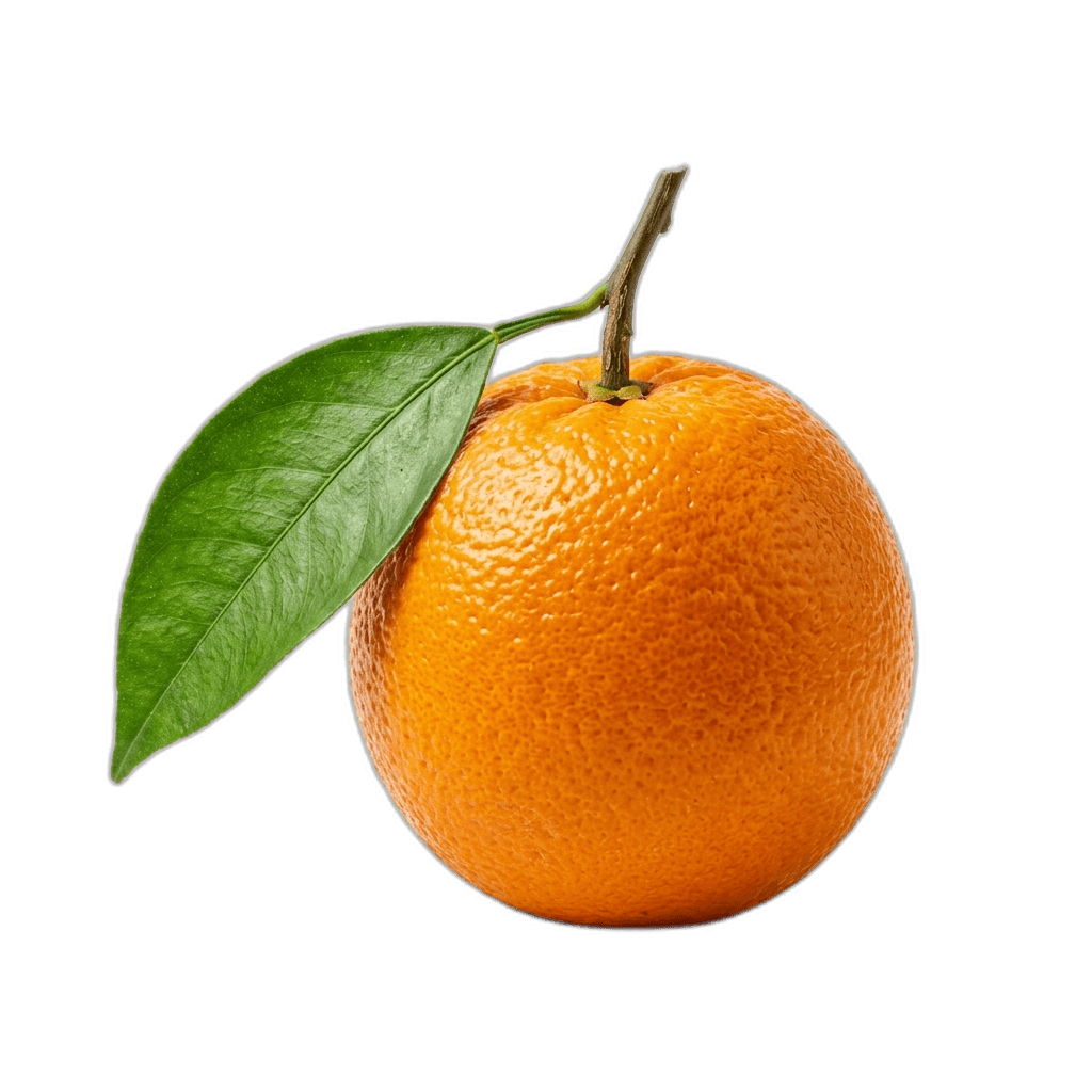 Valencia Orange